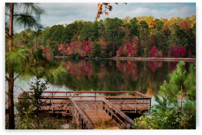 Newport News Park 114 by RawBeltPhotos