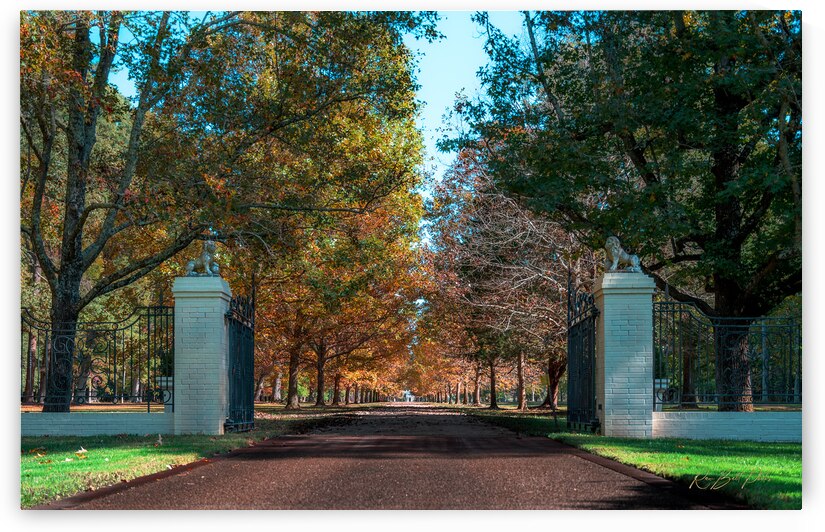 Longest Yard 3914 by RawBeltPhotos