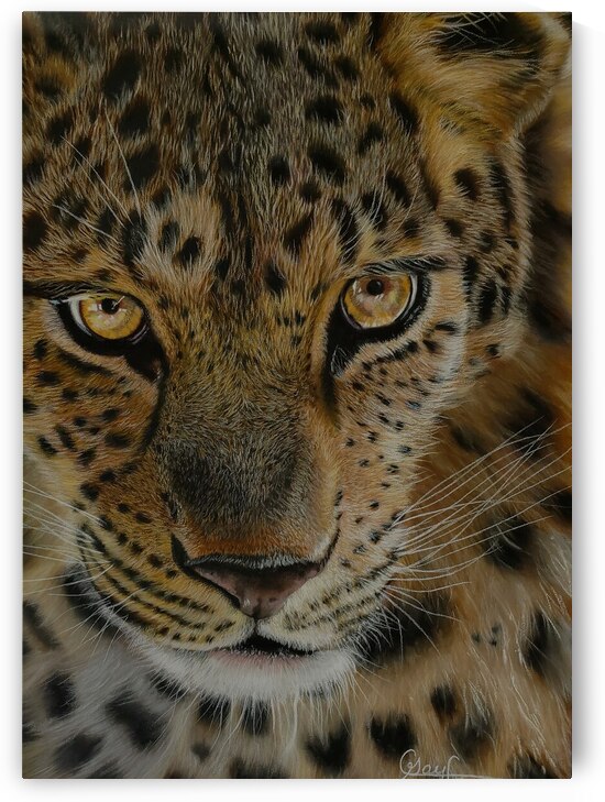 Can You See Me by Carrie Gayfer