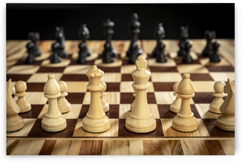 Wooden chess pieces wood by Gualtiero Boffi