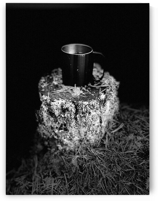 Scenes from the Trail- Mug in Black and White by Catriona Roberts Nature Photography and Designs
