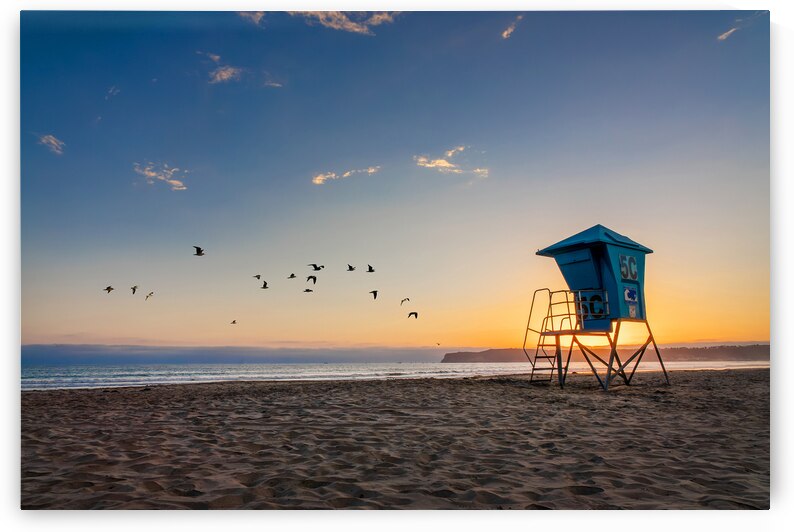 Coronado beach sunset in San Diego seagulls and lifeguard tower by DELPHIMAGES