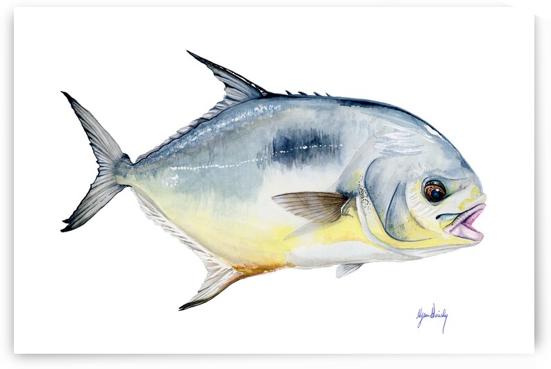 Permit Fine Art Print by Alyssa Goriesky