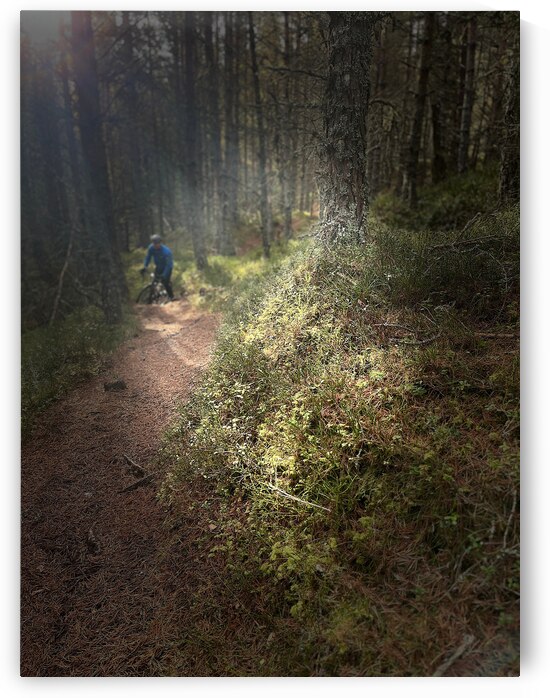 Scenes from the Trail  Unexpected Meetings  by Catriona Roberts Nature Photography and Designs