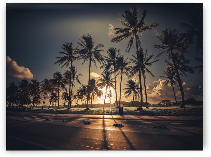 Dawns Golden Embrace  by Exist2shoot Photography