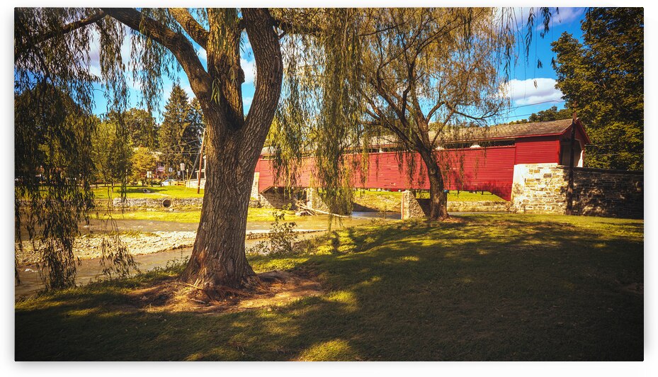 Under the Weeping Willow at Covered Bridge Park by Jason Fink