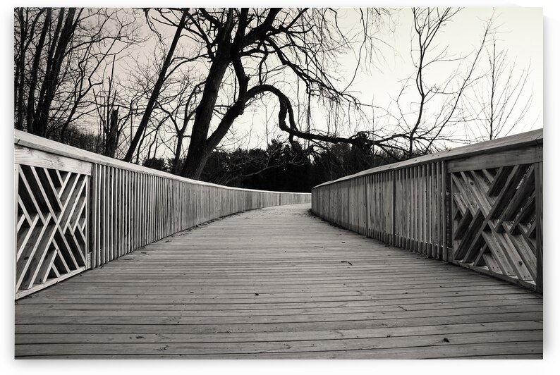 Jordan Creek Greenway Boardwalk Black and White by Jason Fink
