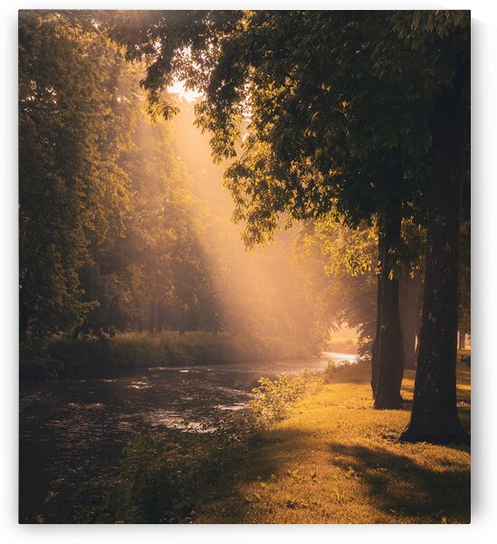 Sunlight on Jordan Creek by Jason Fink