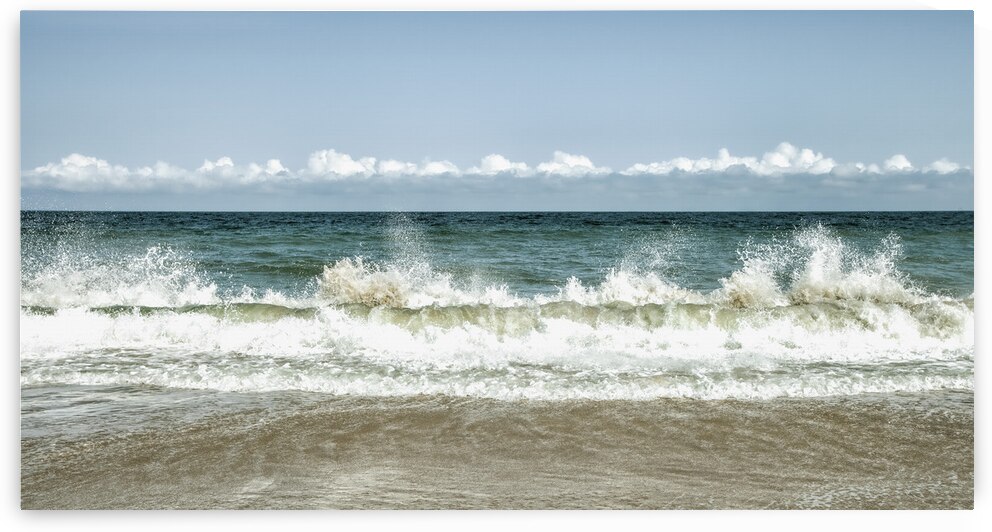 The Beauty of Virginia Beach  by Thea Menagh