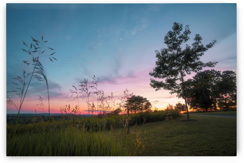 Blue Hour Trexler Nature Preserve by Jason Fink