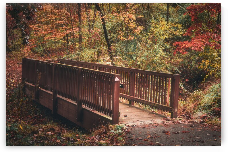 Small Footbridge in Autumn   Trexler Nature Preserve by Jason Fink