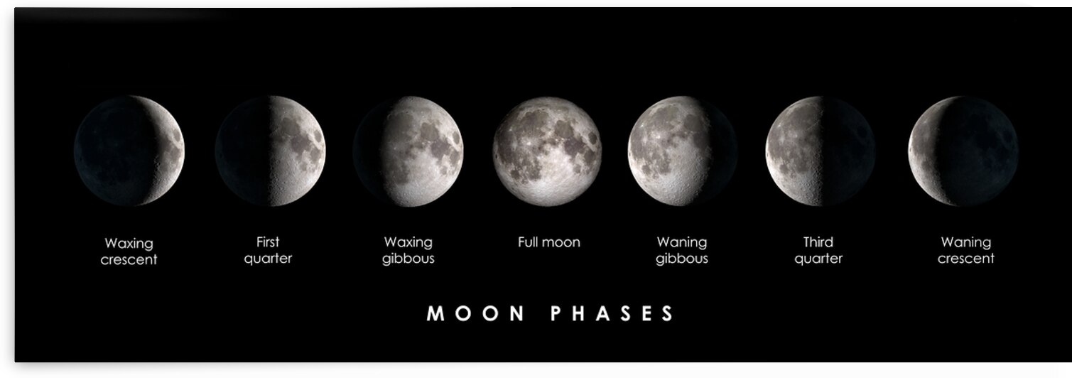 Moon phases by DELPHIMAGES