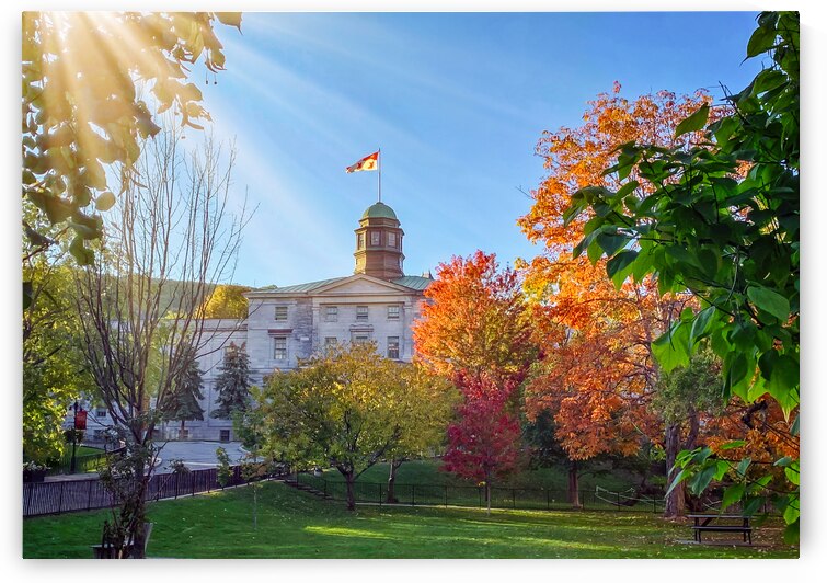 Fall colors McGill campus in Montreal by DELPHIMAGES