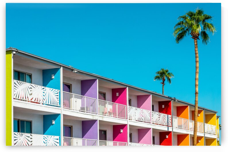 Saguaro hotel palm trees and colorful architecture Palm Springs by DELPHIMAGES
