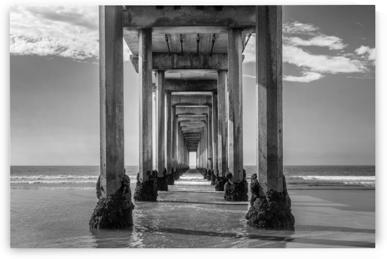 Scripps pier La Jolla San Diego by DELPHIMAGES