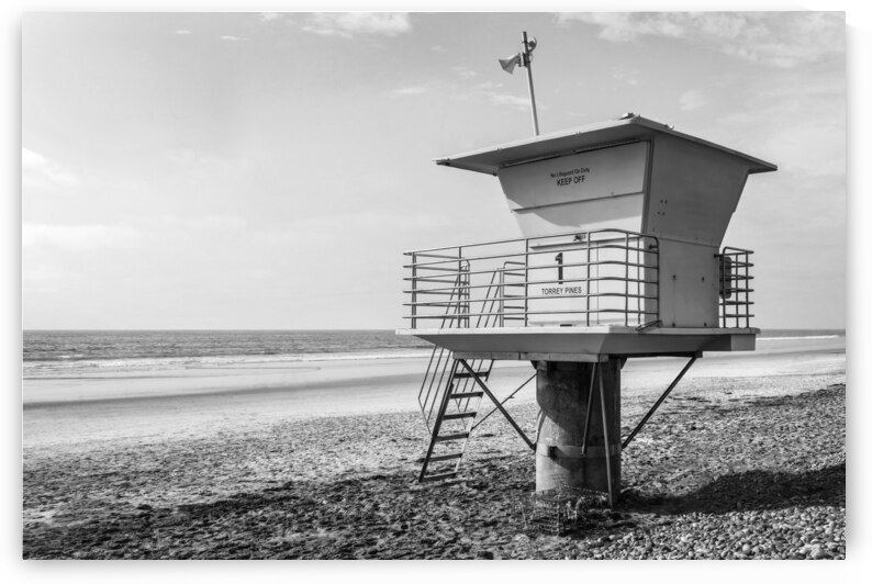 Torrey Pines beach San Diego black and white by DELPHIMAGES
