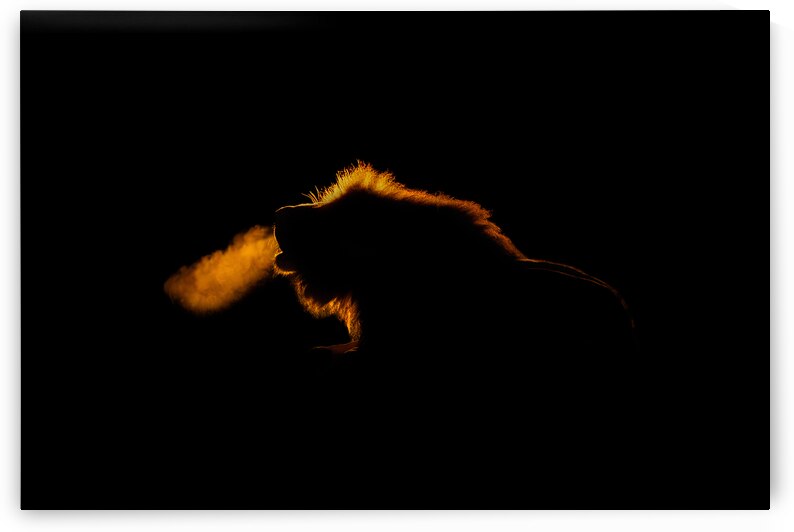 Kings Nocturne by Greg Westbrook