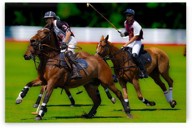 BZ9 5215 Enhanced NR by Susan Lynn Cooke