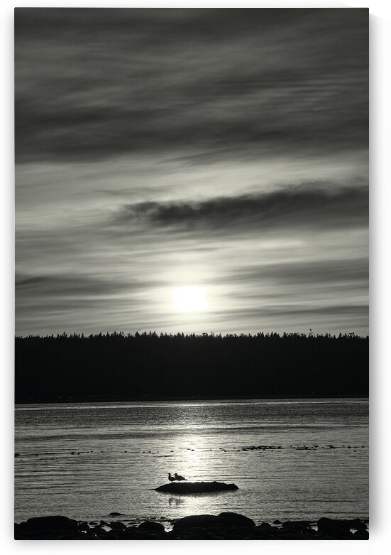 Vancouver Island Sunrise 02 BW by Kelly Corder