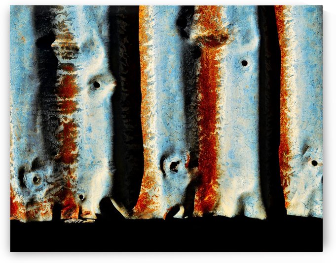 Corrugated Iron Series 2 by Lexa Harpell