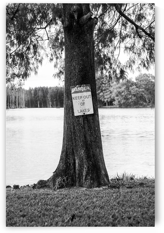 Keep Out of Lakes by Art by Josh
