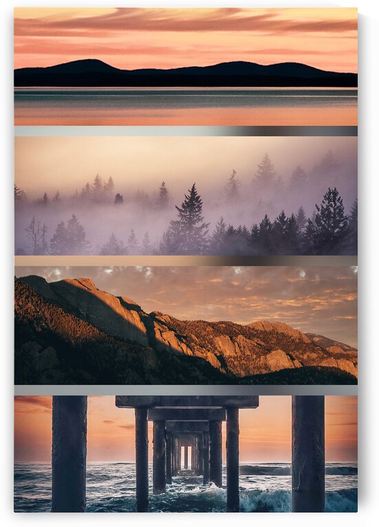 Something In The Orange by Wildridge Photography