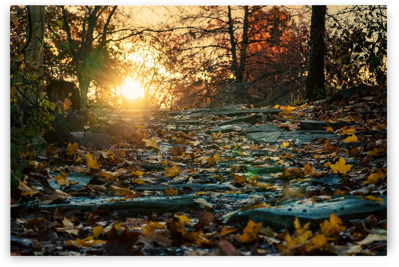 The Path Between by Jason Fink