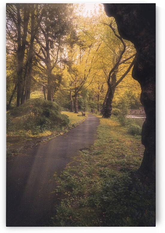 Sunlight on Monocacy Park Pathways by Jason Fink