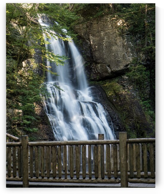 Bushkill Falls Viewing Deck by Jason Fink