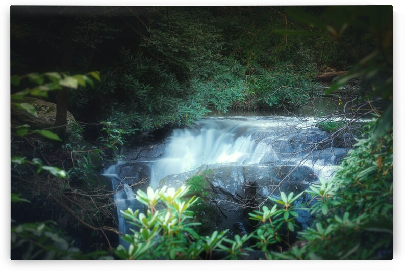 Wild Creek Falls Through the Trees by Jason Fink