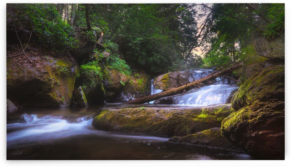 Wild Creek Falls River Side by Jason Fink
