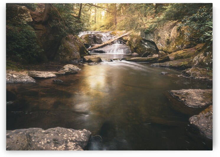 Wild Creek Falls Ahead by Jason Fink