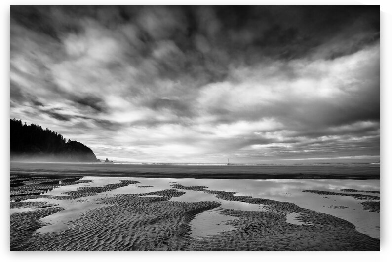 Shoreline in Smugglers Cove II by Images By Jon Evan