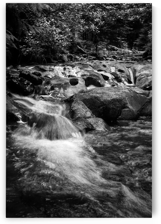 Stream on the Oregon Trail by Images By Jon Evan