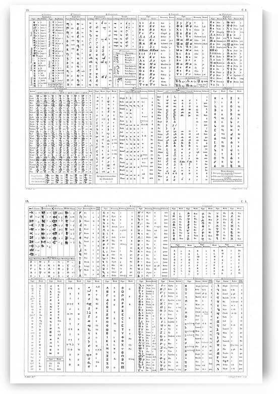 Linguistic Diagram of Ancient and Modern Alphabets – Comparative Chart Tracing the Evolution of Writing Systems from Cuneiform and Hieroglyphs to Latin Greek Hebrew and Cyrillic Scripts by History In Your Home