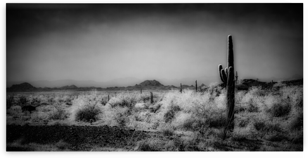 Desert Stillness by Dream World Images