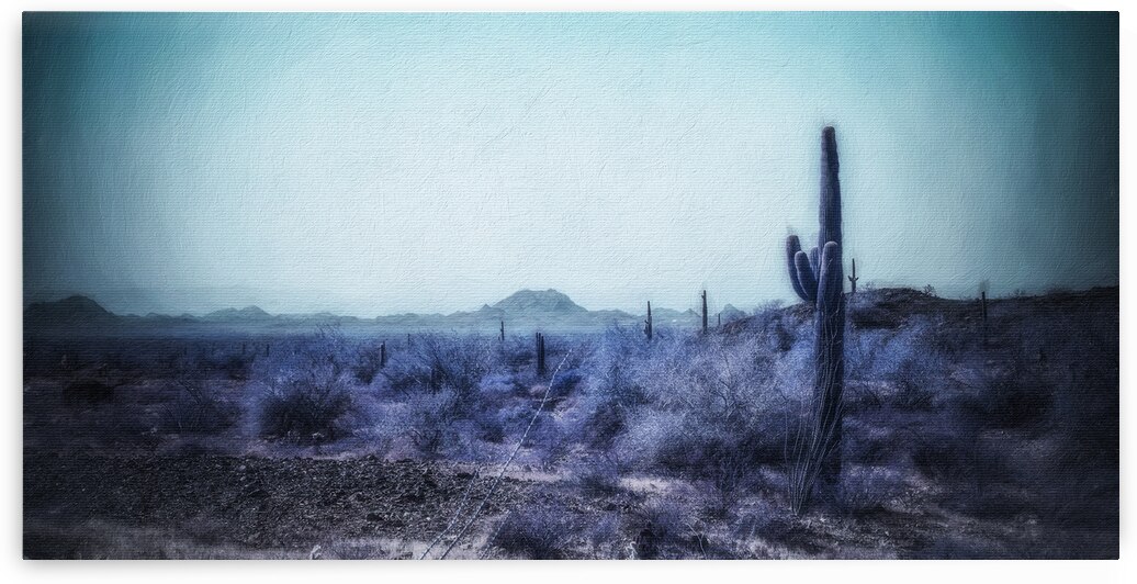 Ethereal Cactus Serenade by Dream World Images