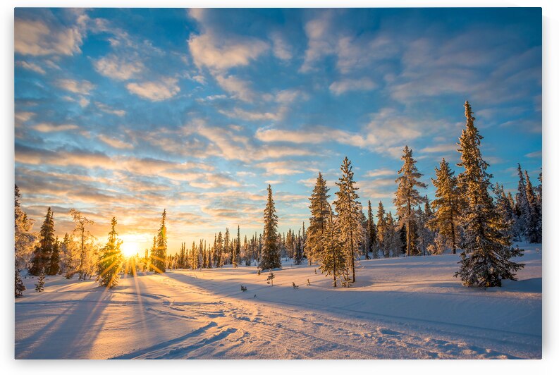 Winter sunset snowy fairytale landscape by DELPHIMAGES