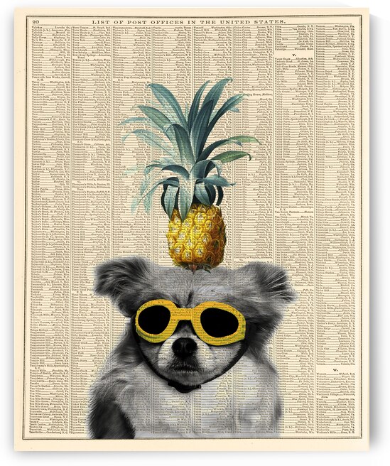 Dog with goggles and pineapple by DELPHIMAGES