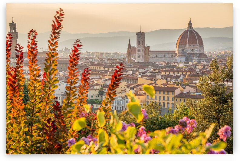 Cityscape of Florence in summer Tuscany by DELPHIMAGES
