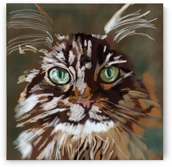 IMG 3285 by Erika Castro