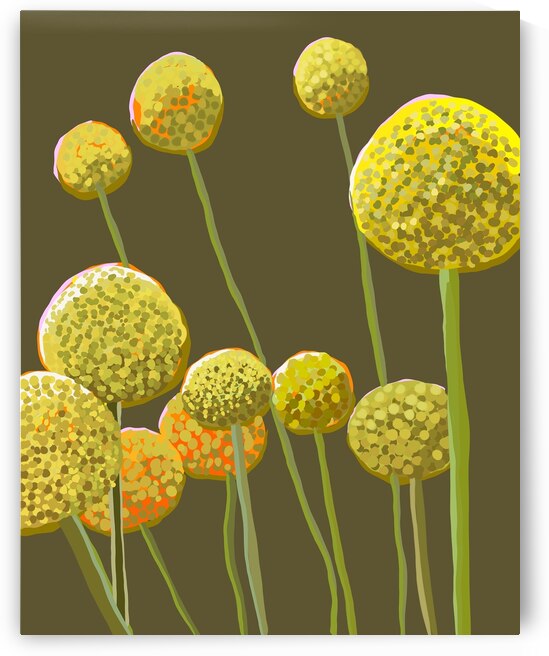 IMG 3248 by Erika Castro