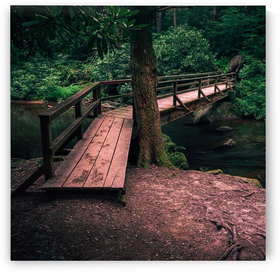 Wild Creek Cove Footbridge by Jason Fink
