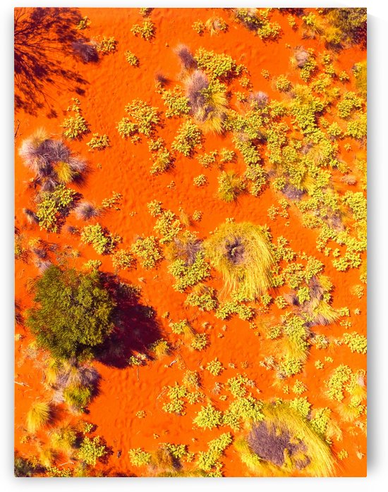 Dunes Aerial  - Central Australia by Lexa Harpell