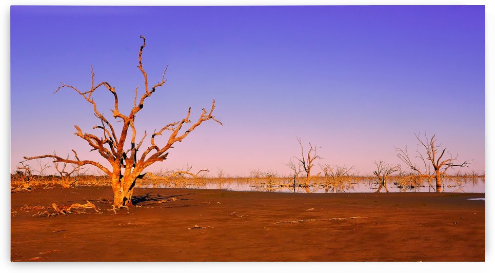 Sunrise on Pamamaroo Lake by Lexa Harpell