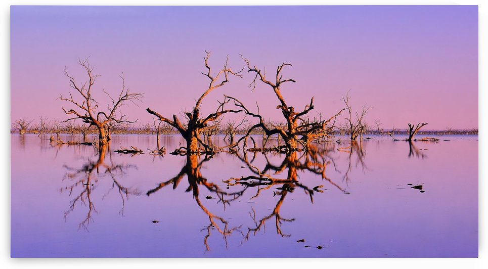 Twin Reflections - Pamamaroo Lake by Lexa Harpell