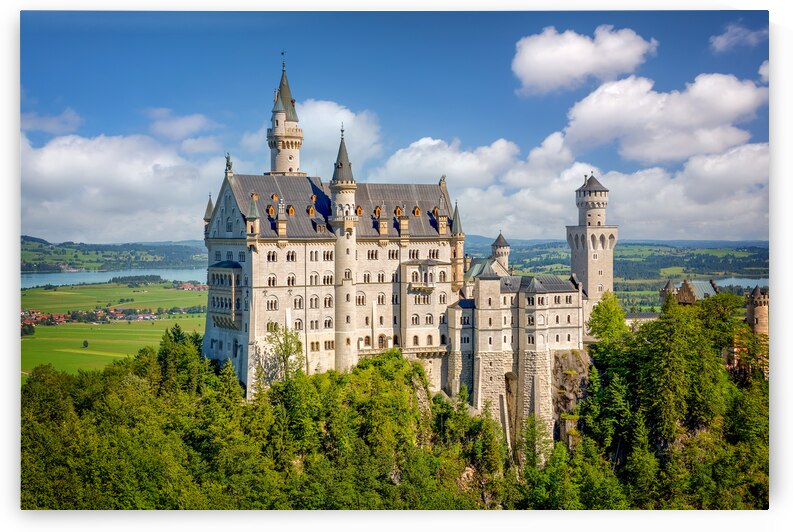 Neuschwanstein castle Bavaria Germany by DELPHIMAGES