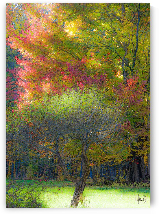 L arbre de vie by Claire Poulin