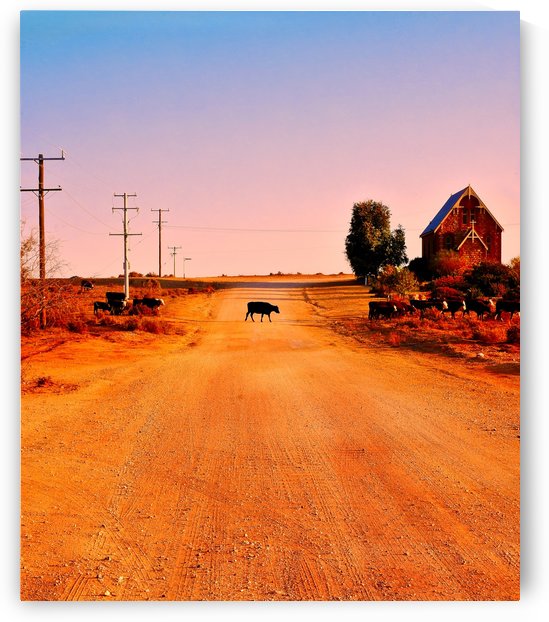 Quirky Sights of the Outback 1 by Lexa Harpell