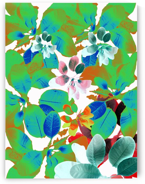 Abstract Botanical Leaves by Catriona Roberts Nature Photography and Designs